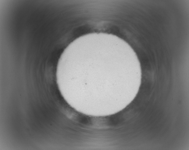 X0000081270707200702081927