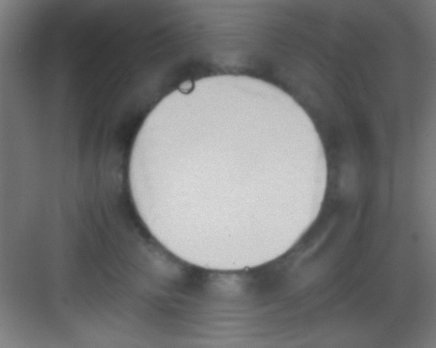 X0000081270710200702081927