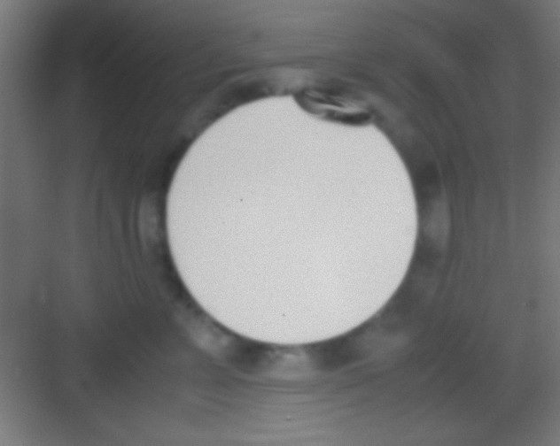 X0000081270715200702081927