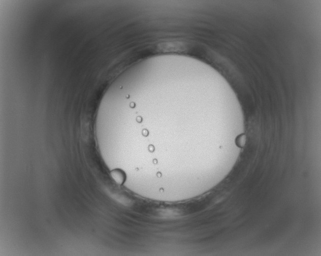 X0000081270741200702081926