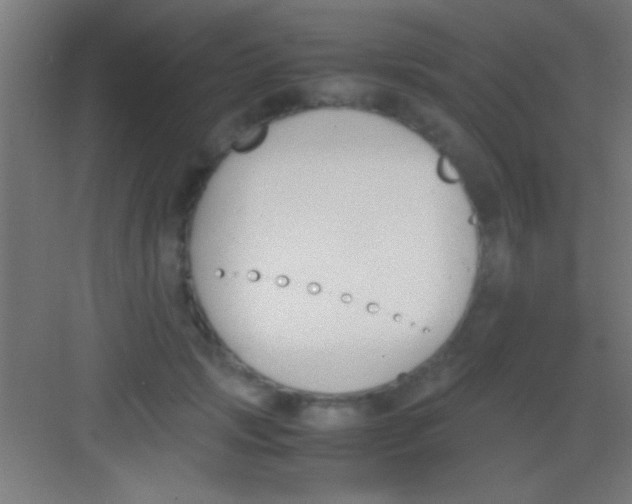 X0000081270749200702081926