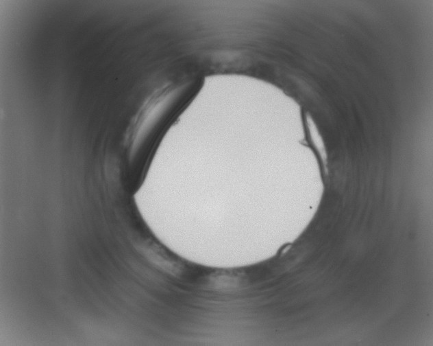 X0000081270756200702081926