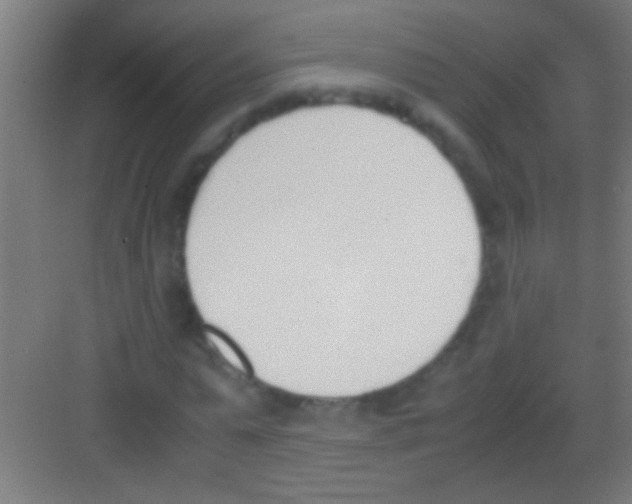 X0000081270775200702081926
