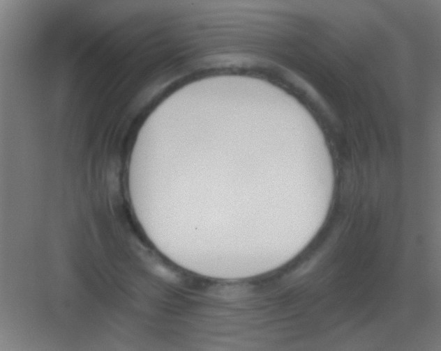 X0000081270778200702081926