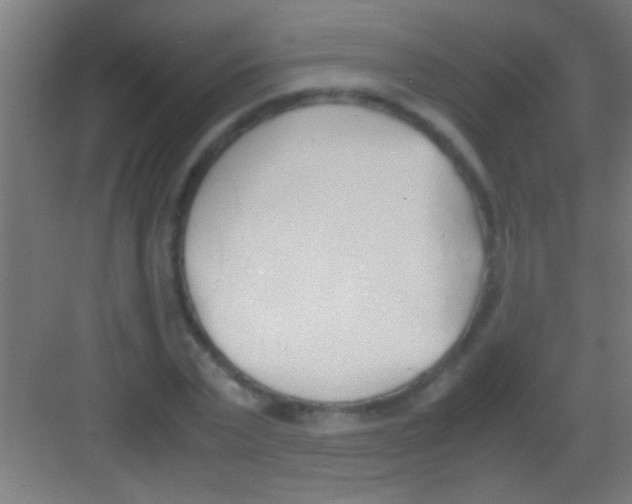 X0000081270783200702081926