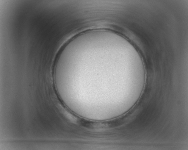 X0000081270789200702081926