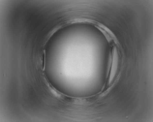X0000081270809200702081925