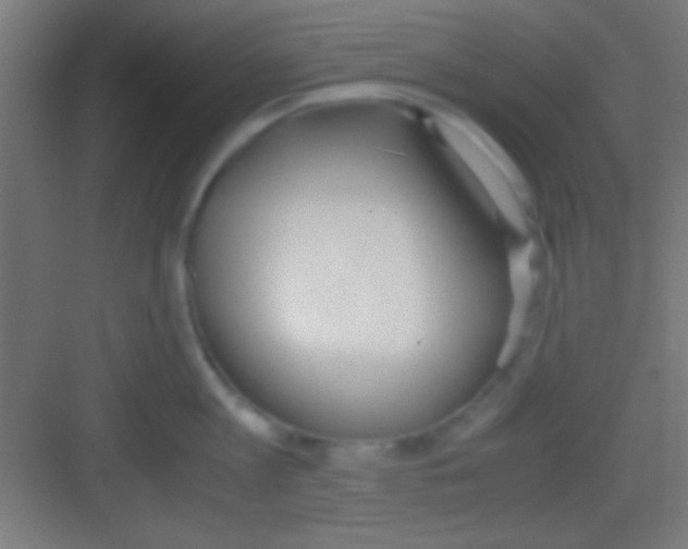 X0000081270813200702081925