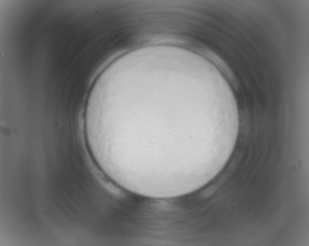 X0000081270814200702081925