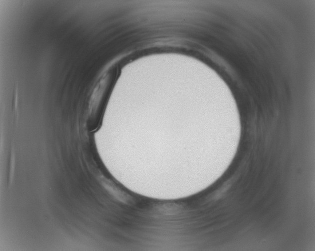 X0000081270830200702081924