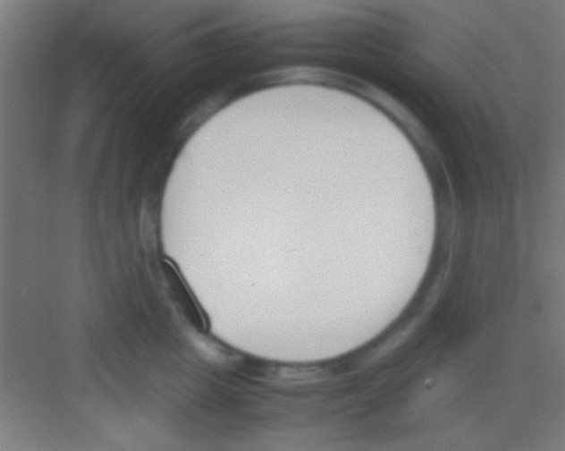 X0000081270857200702081925
