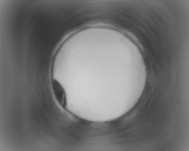 X0000081270863200702081925