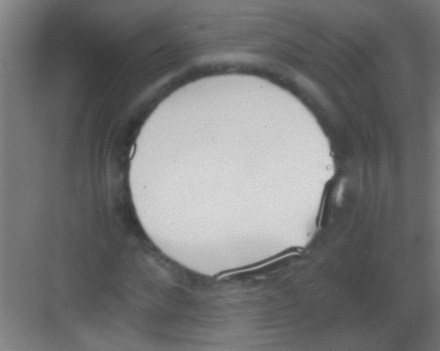X0000081270872200702081924