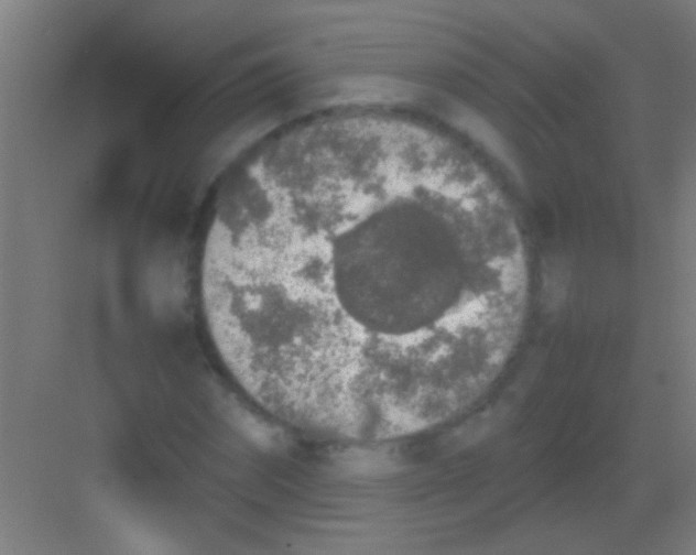 X0000081270874200702081924
