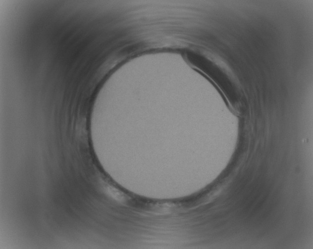 X0000081270881200702081924