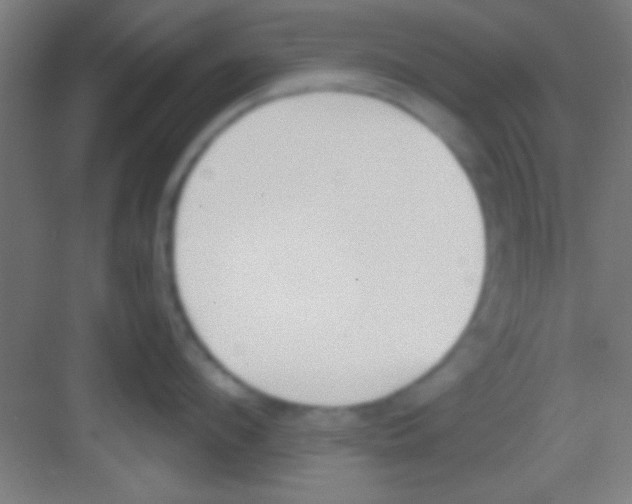 X0000081270912200702081923