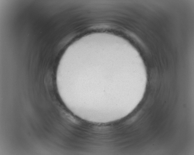 X0000081270921200702081923