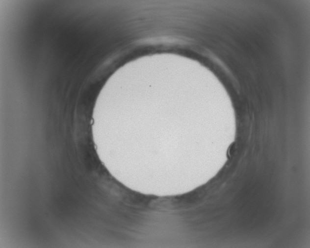 X0000081270967200702081923