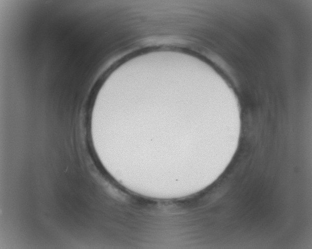 X0000081270983200702081922