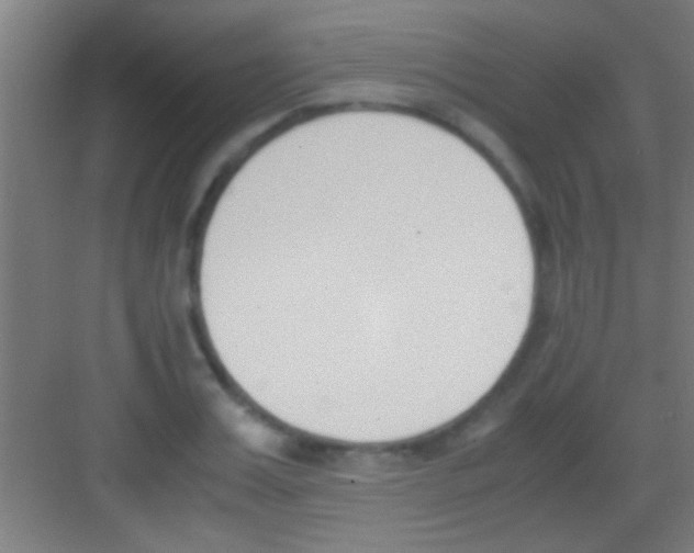 X0000081270987200702081922