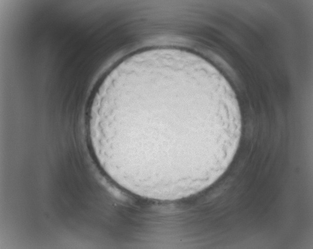 X0000081270990200702081922