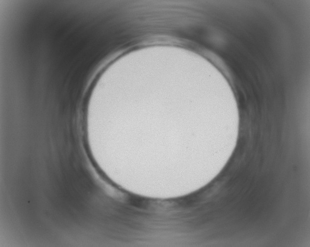 X0000081271003200702081922