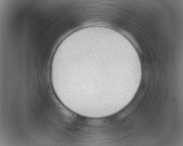 X0000081271004200702081922