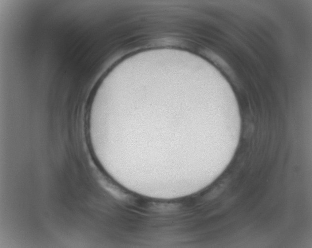 X0000081271039200702081922