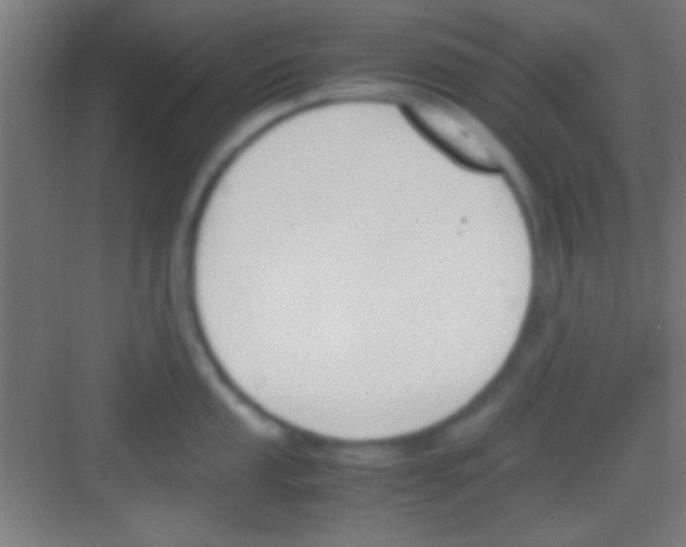 X0000081271053200702081922