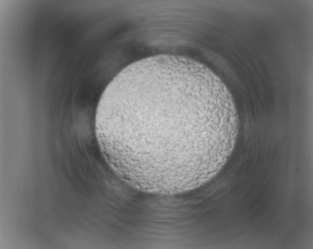 X0000081271060200702081921