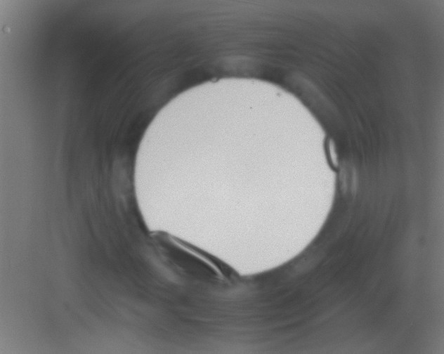 X0000081271107200702081919