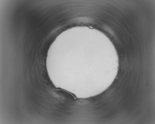 X0000081271112200702081920