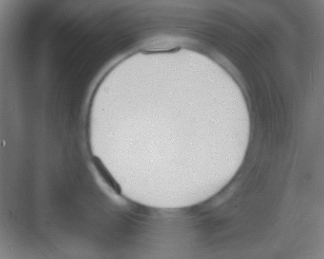 X0000081271152200702081920
