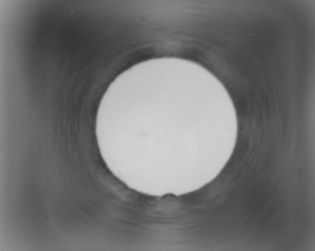 X0000081271153200702081919