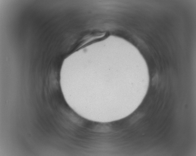 X0000081271156200702081919