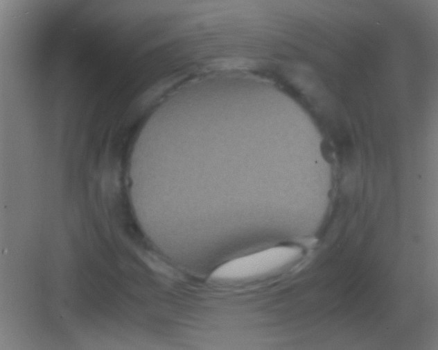 X0000081271161200702081919