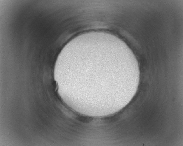 X0000081271169200702081919