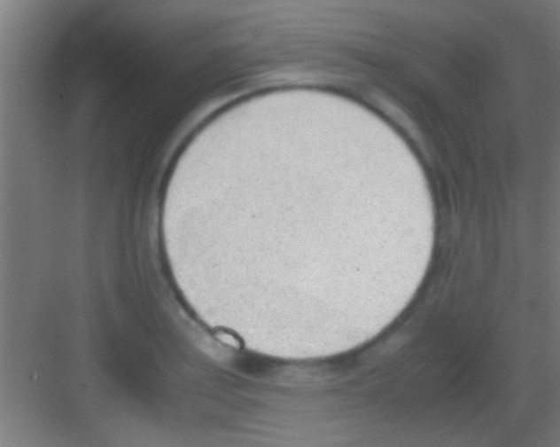 X0000081271179200702081919