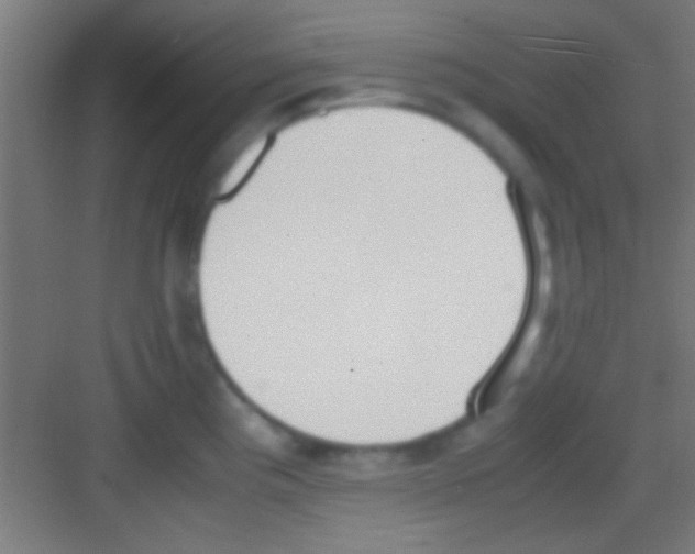 X0000081271193200702081919