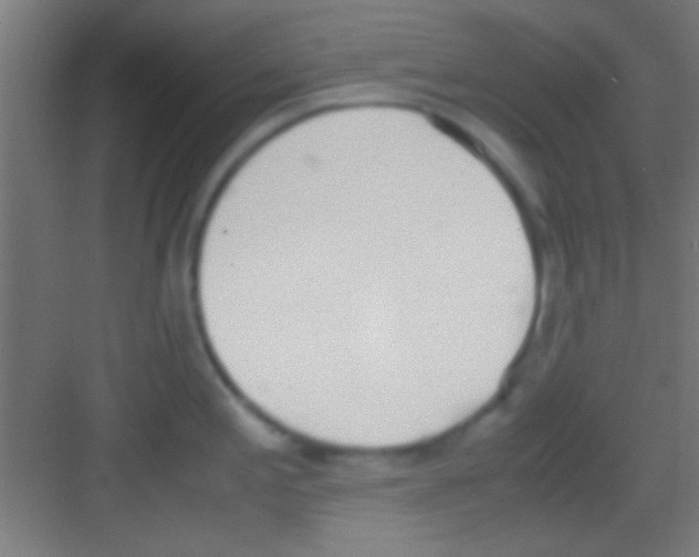 X0000081271197200702081919