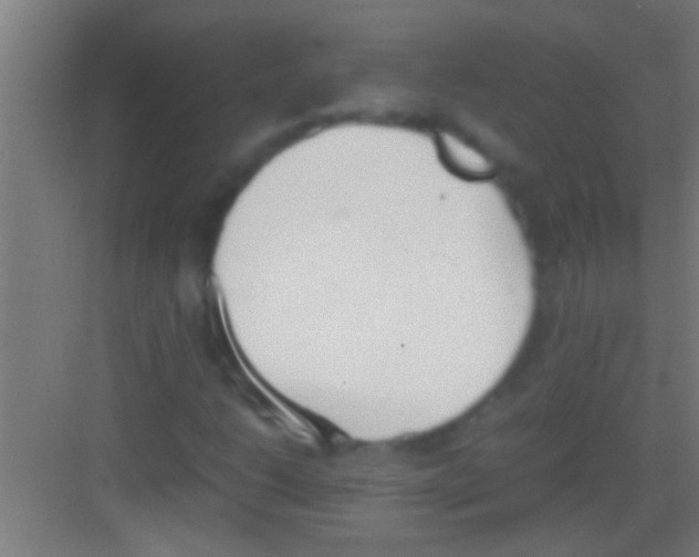 X0000081271206200702081918