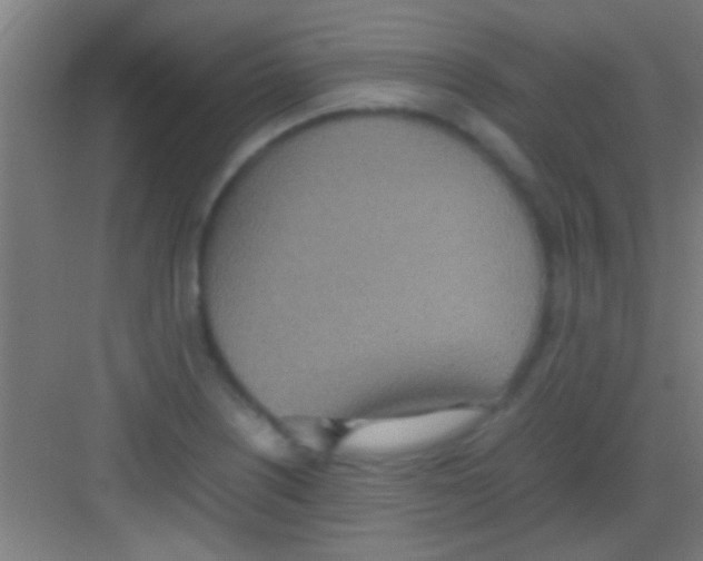 X0000081271226200702081918