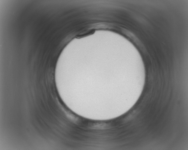 X0000081271233200702081918
