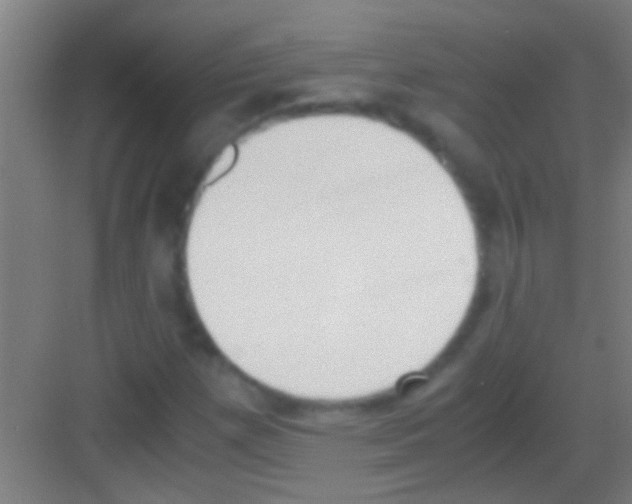 X0000081271257200702081918