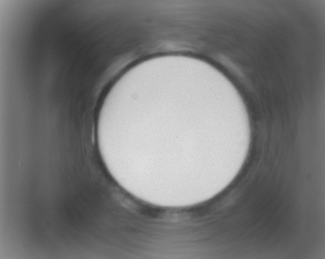 X0000081271269200702081917