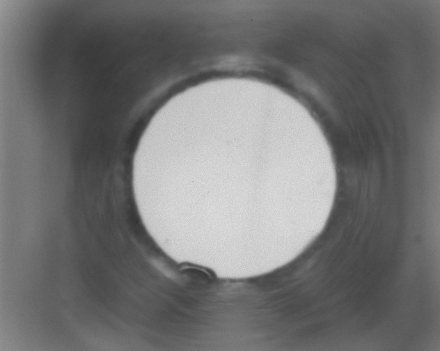 X0000081271304200702081916