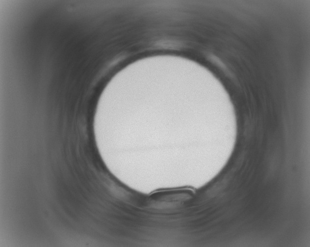 X0000081271307200702081916