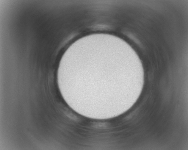 X0000081271309200702081916