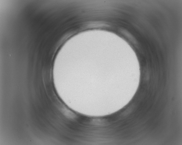 X0000081271322200702081917