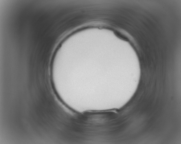 X0000081271335200702081917